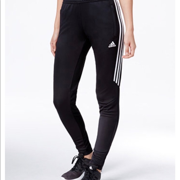 adidas pants tapered leg